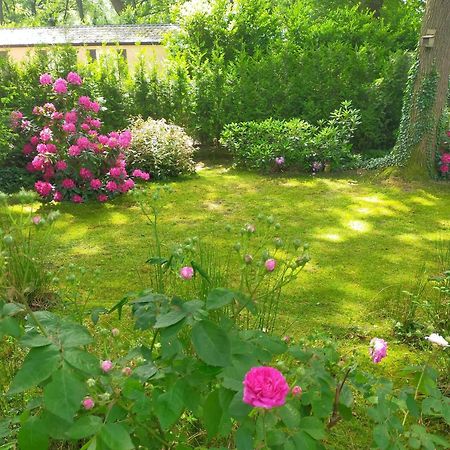Vakantie Veluwe Вагенинген Екстериор снимка