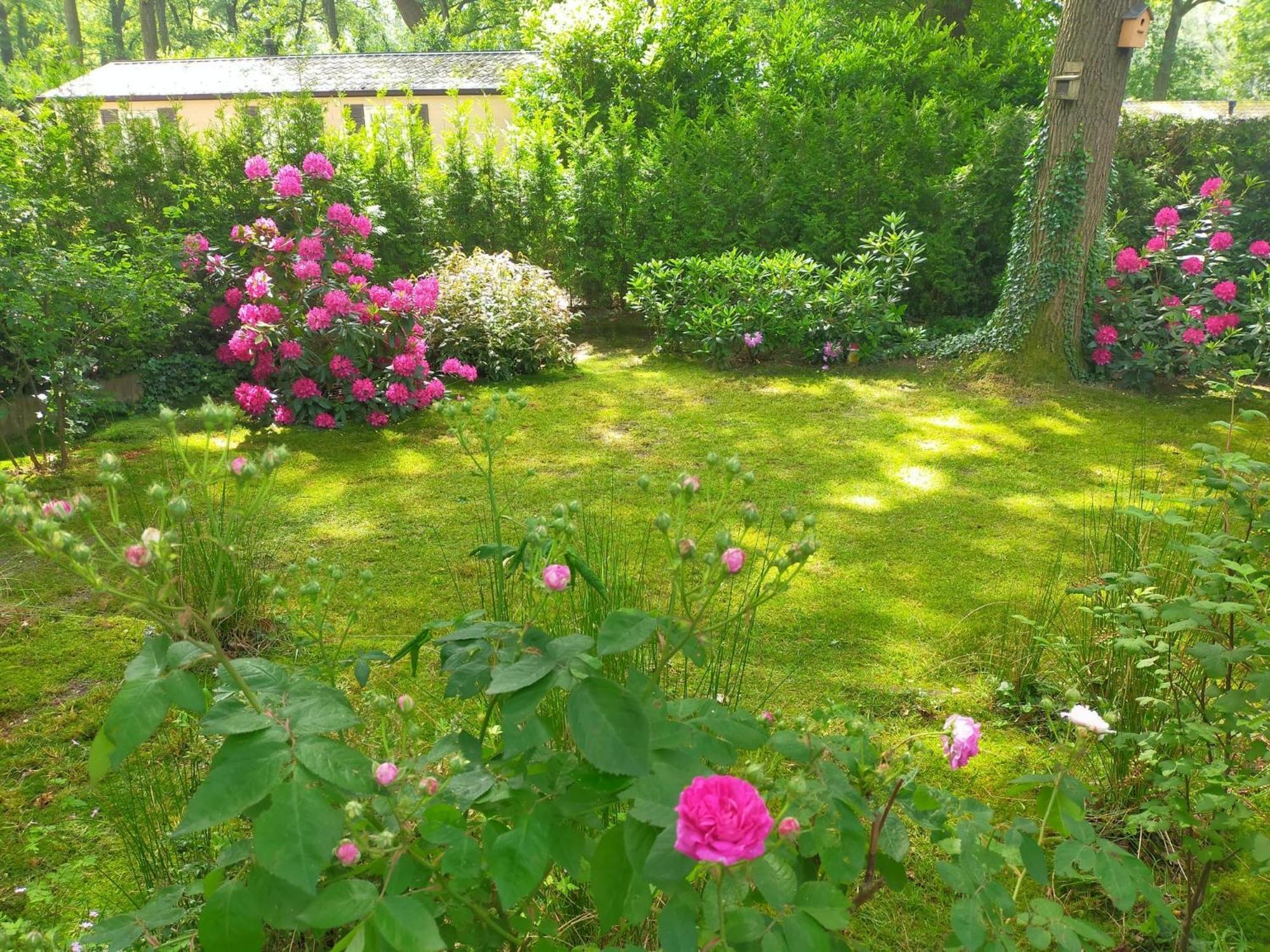 Vakantie Veluwe Вагенинген Екстериор снимка